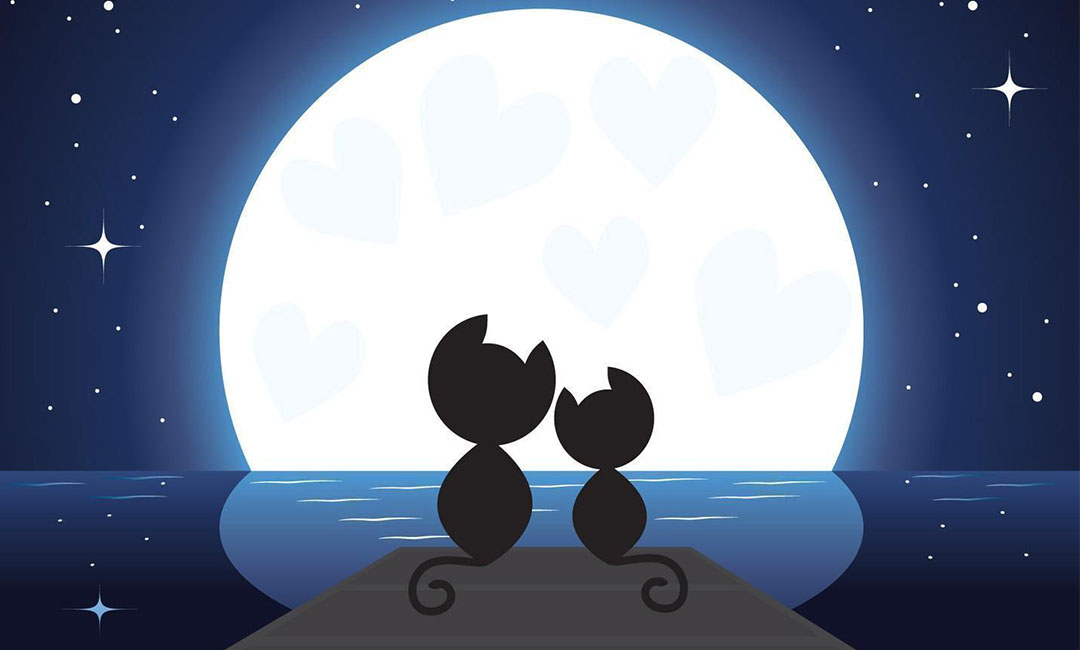 红河潮客汇微信活动策划案例